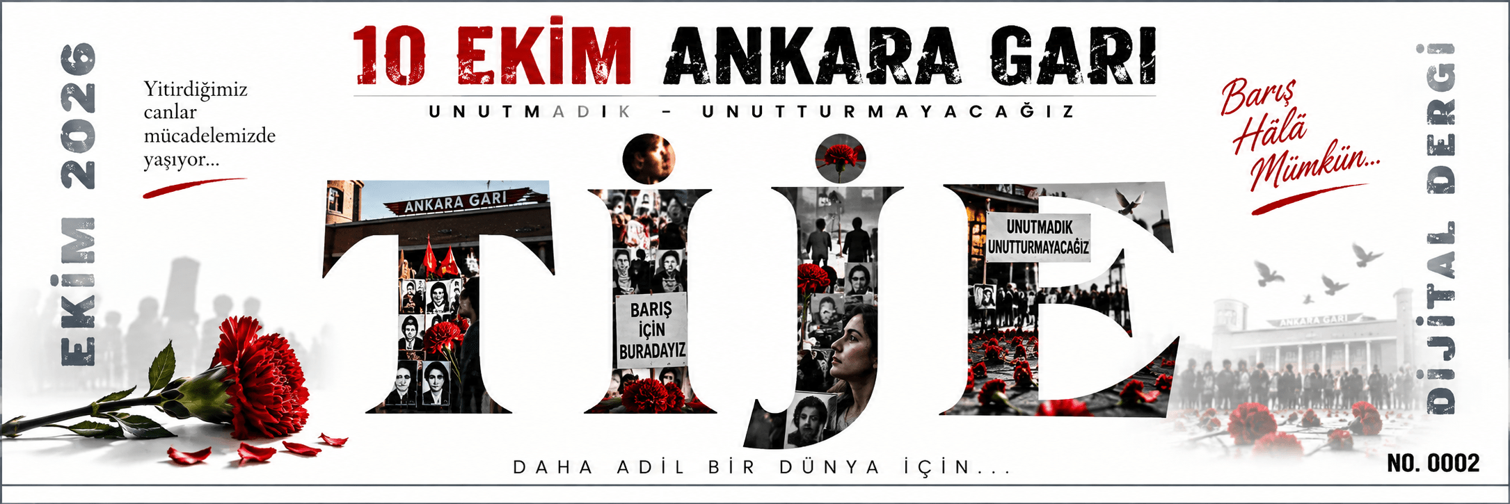 ddp72.com 8 logo kapak