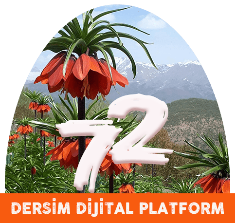 Dersim Dijital Platform