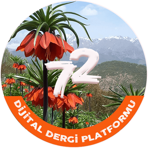 Dijital Dergi Platformu