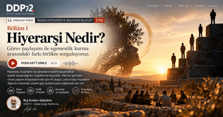 İnsan Hiyerarşiye Mahkûm mudur? — Yazı Dizisi, 1. Bölüm: Hiyerarşi Nedir?